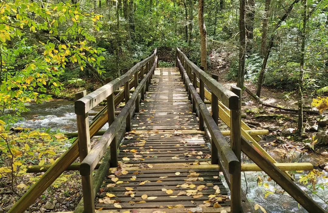 Wooden bridge along a forest trail in the Cherokee National Forest region