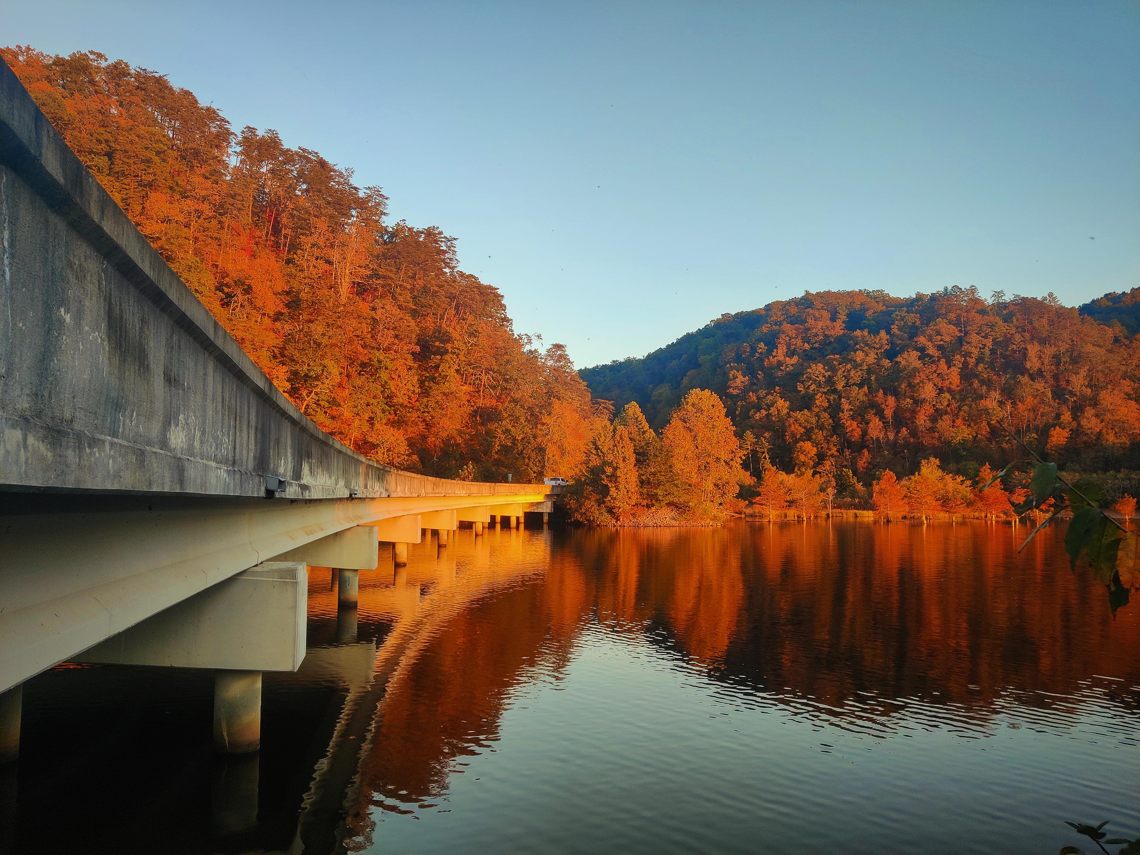 Fall color along the Ocoee River region