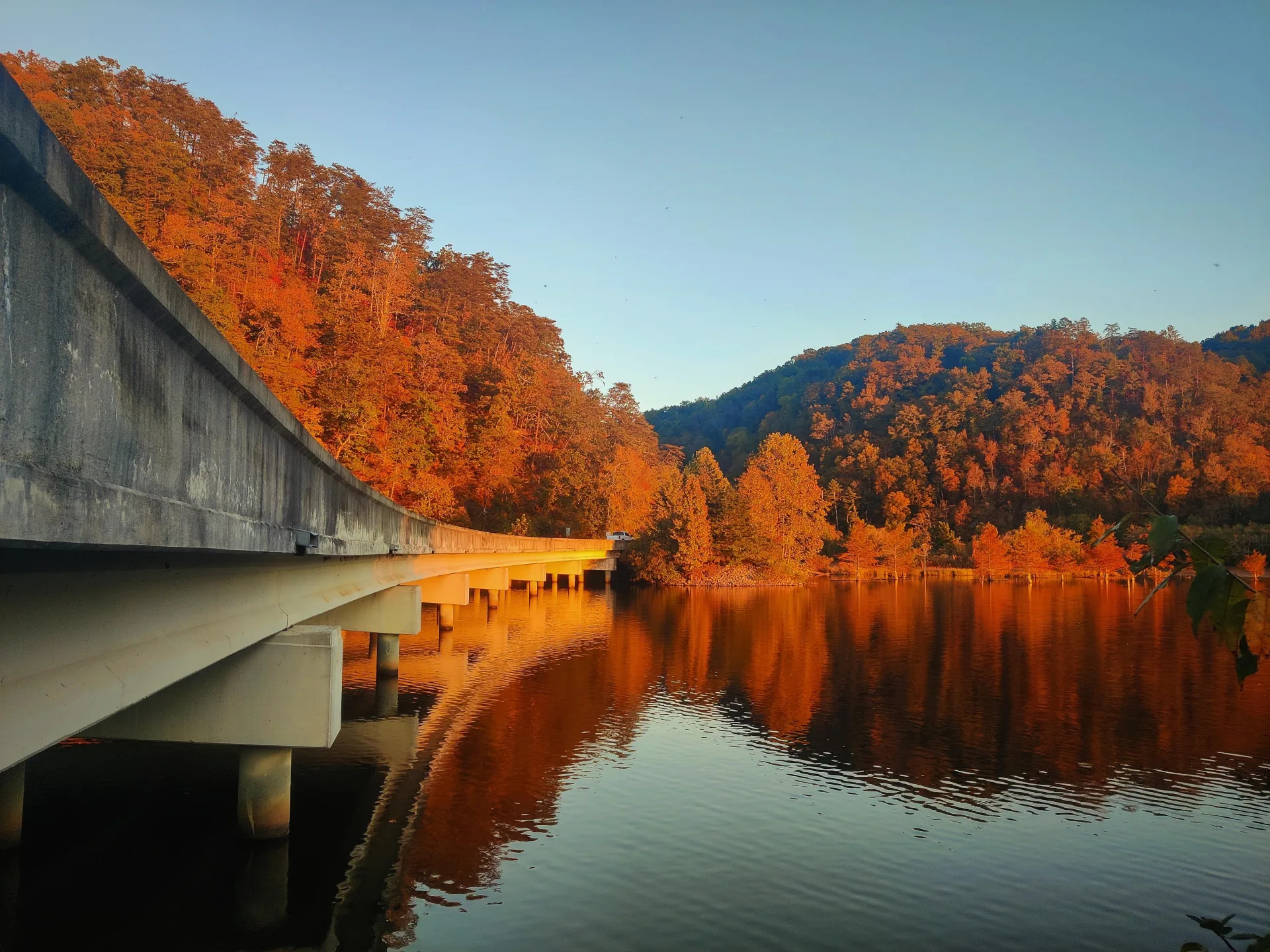 Fall color along the Ocoee River region