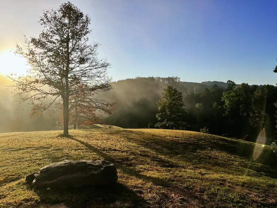 Morning sunlight crossing an open mountain homesite at Eagle's Nest Retreat